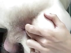 PUSSY IS ALWAYS HUNGRY FOR RAW COCK