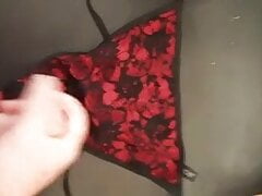 Cum on wife's panties