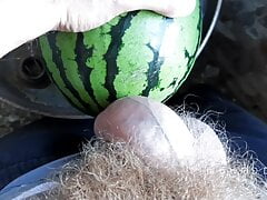 Arrogant male TimonRDD hard fucks a watermelon with a big hairy dick